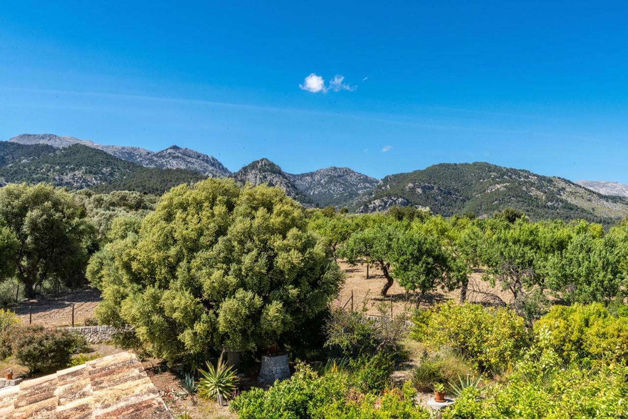 Finca Son Arnau เซลวา ภายนอก รูปภาพ